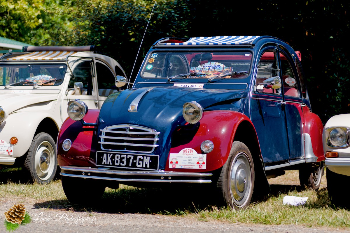 🚗  Les 10 ans du Club Loun Rétro : Patrimoine Roulant au Bord du Lac de Léon